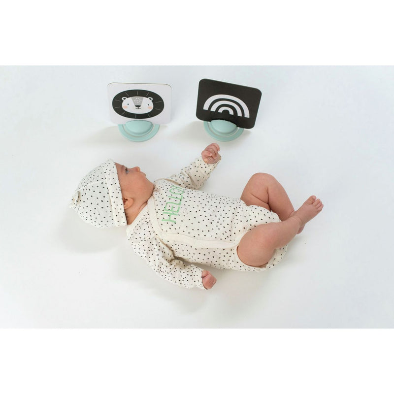 Taf Toys My First Tummy Time Cards set with mirror, UK version