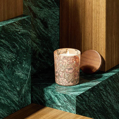 Argos Habitat x Morris & Co. Boxed Scented Candle, Sage and Chrysanthemum, 7cm- Buy online at McGrocer