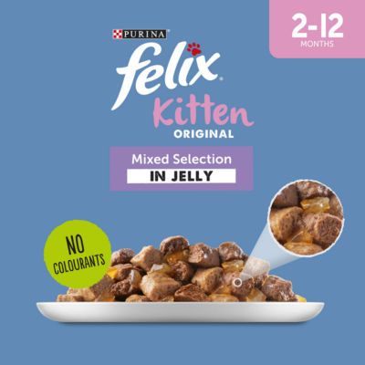 Flexi Kittenfutter gemischte Auswahl in Gelee 12 x 100g