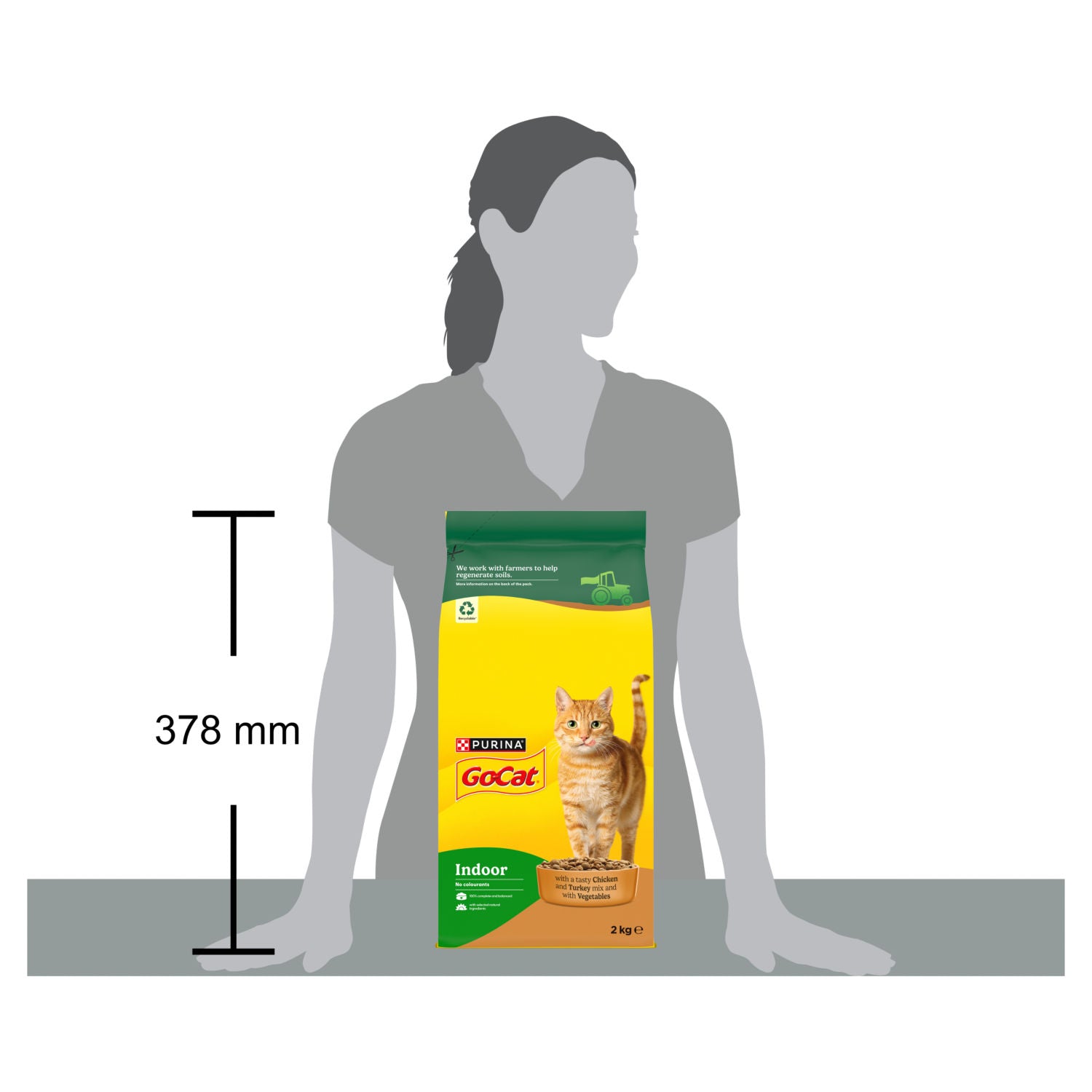Go-Cat indoor chicken dry cat food 2kg, UK version