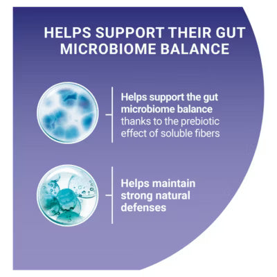 Purina ONE Mini Fillets cat food 8x85g imported from the UK