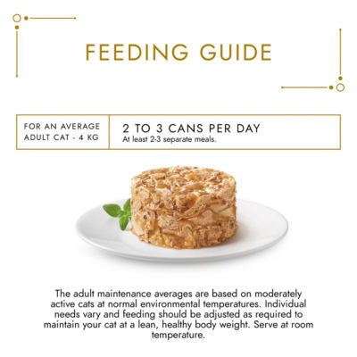 GOURMET Gold Savoury Cake wet cat food 680g, imported from the UK