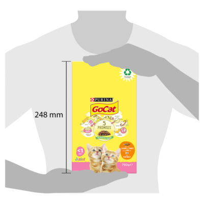 Go Cat kitten dry cat food chicken turkey milk 750g, UK version