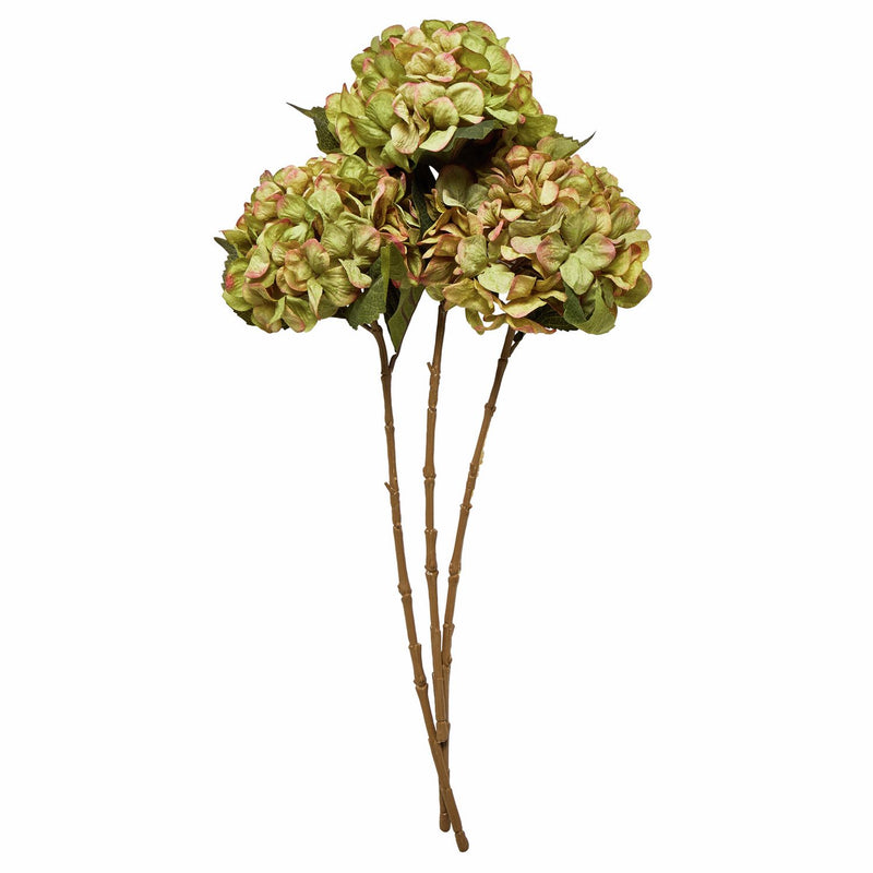 Argos Home artificial green hydrangea stems 3 pack (British brand)