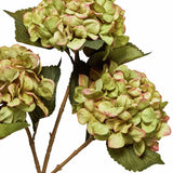 Argos Home artificial green hydrangea stems 3 pack (British brand)