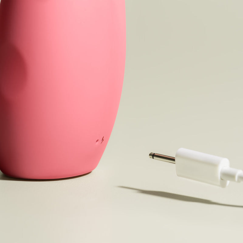 Smile Makers The Artist rabbit vibrator - British product