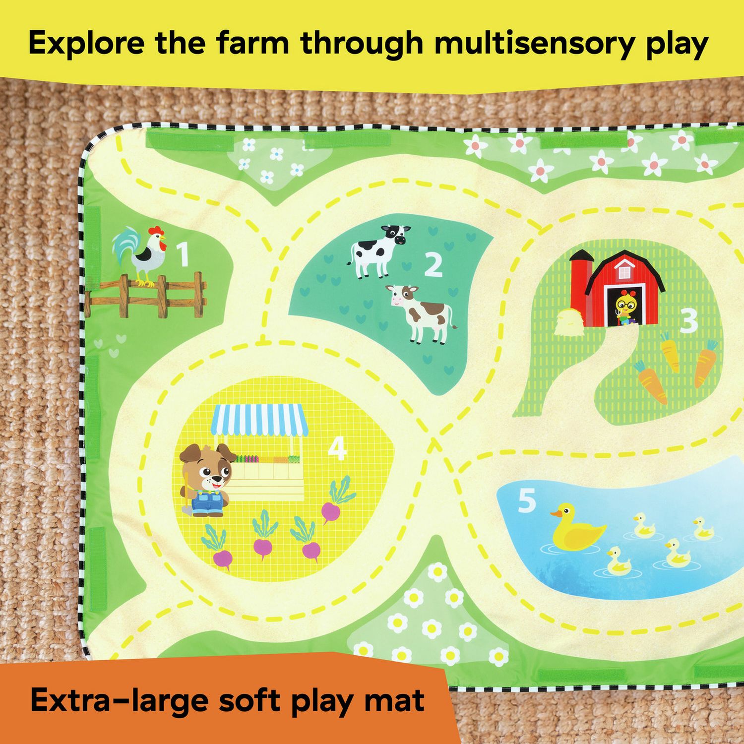 Baby Einstein Farm Explorers activity gym playmat multi-stage - British product