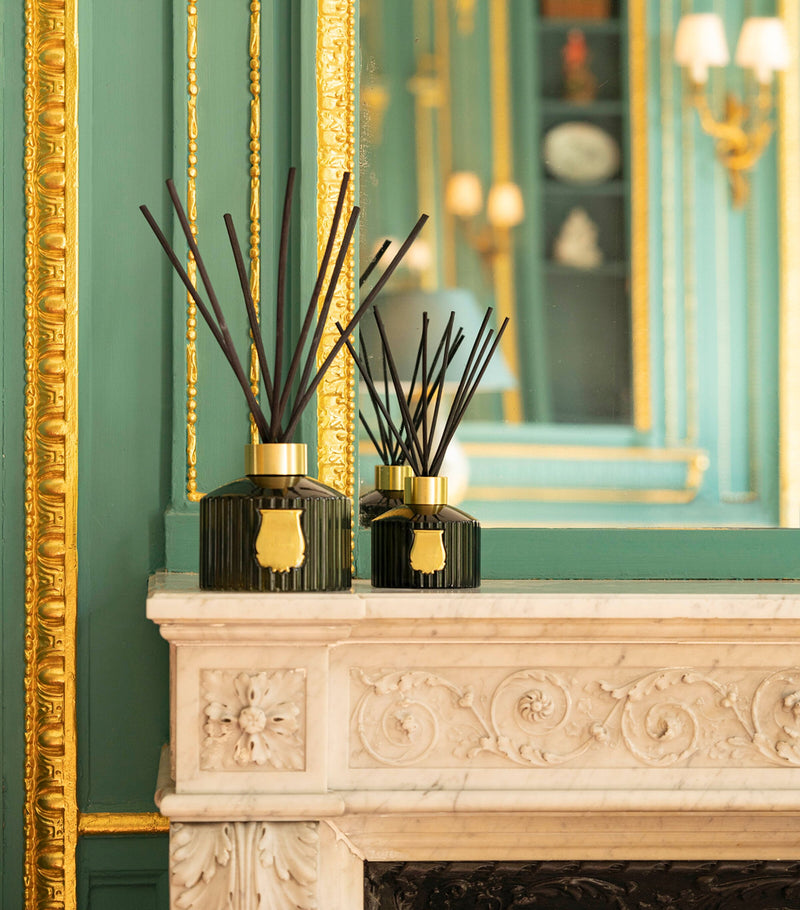 Trudon Abd El Kader spiced reed diffuser 1L (British brand)