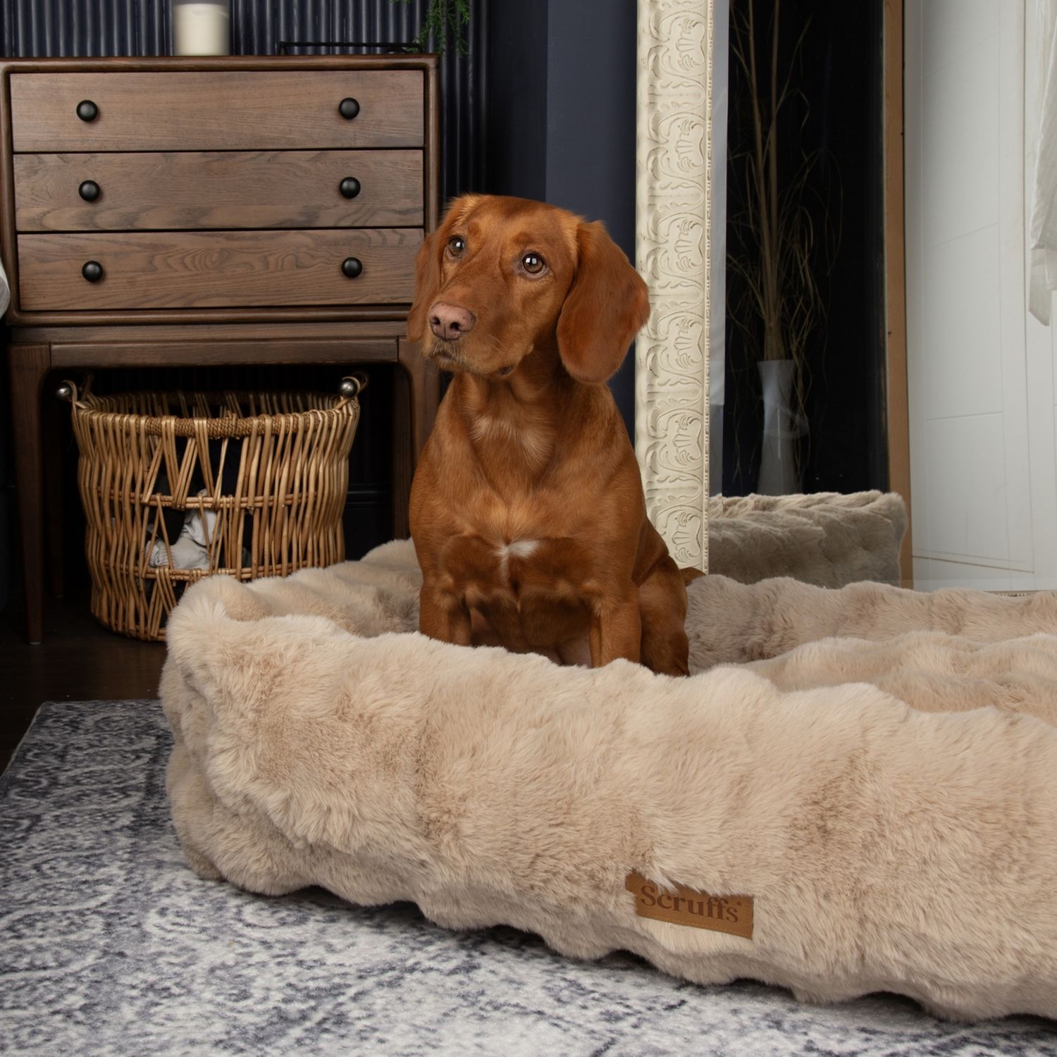 Scruffs Alpine Champagne Dog Bed - Extra Large