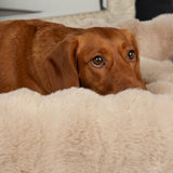 Scruffs Alpine Champagne Dog Bed - Extra Large