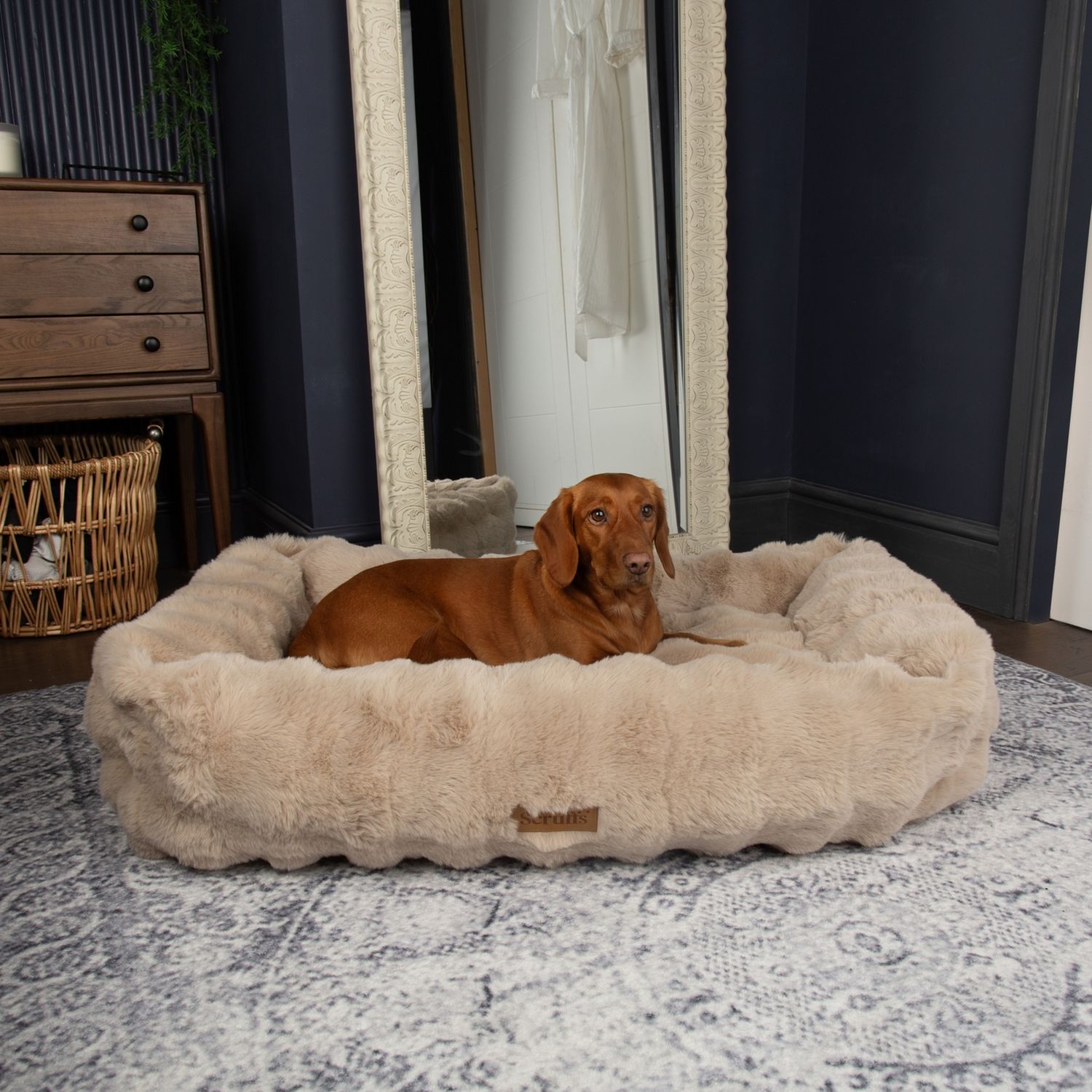 Scruffs Alpine Champagne Dog Bed - Extra Large