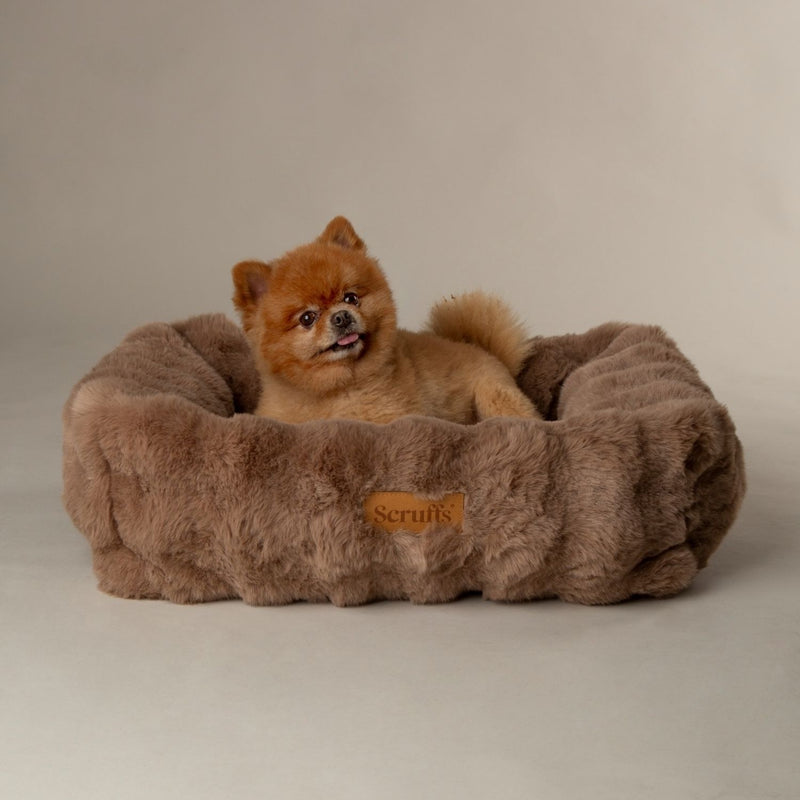 Scruffs dog bed Alpine Taupe Medium, imported from the UK