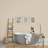 Johnstone's bathroom paint Seashell 2.5L, UK version