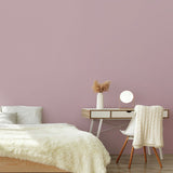 Superfresco Dream Big pink paint 2.5L - British product