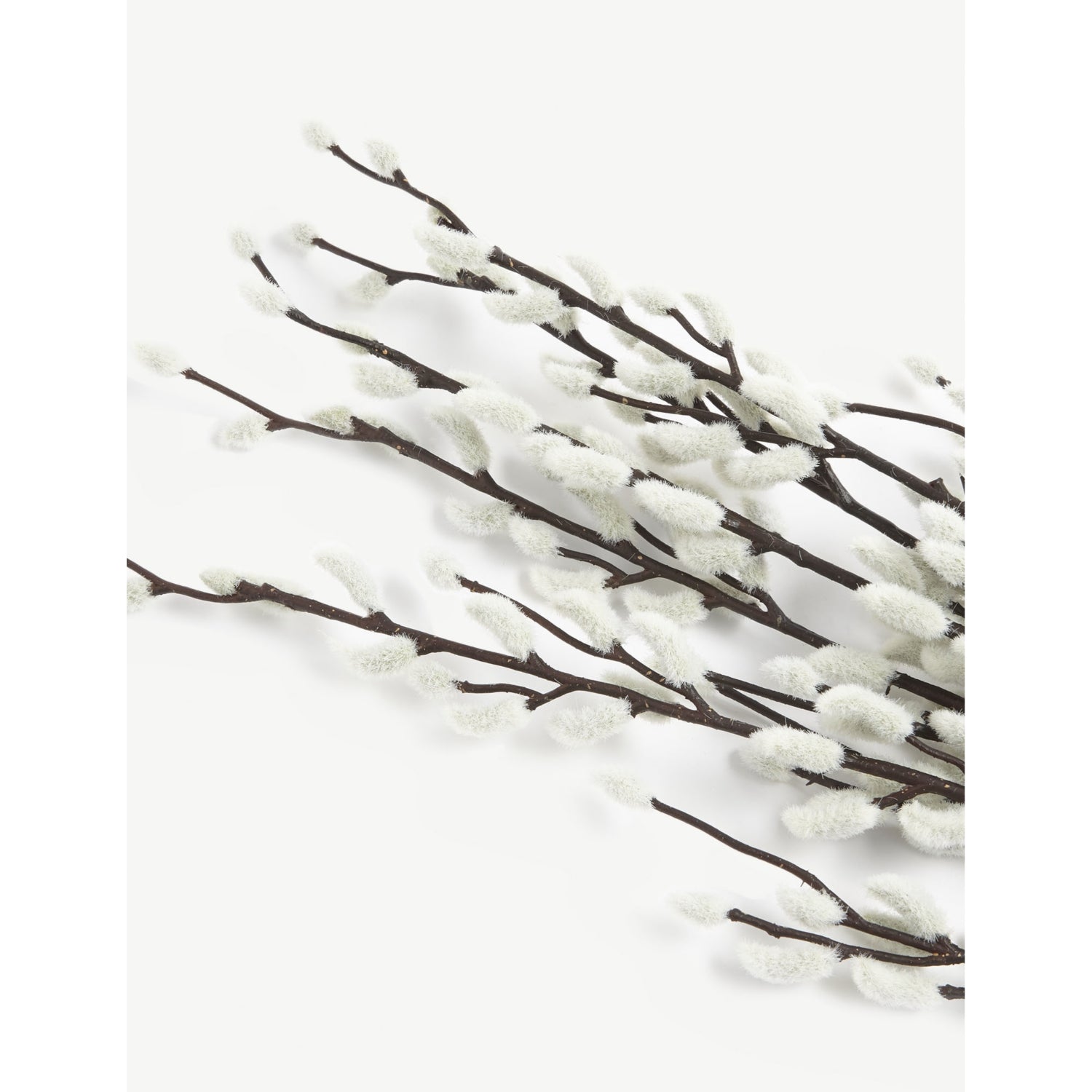 The White Company artificial pussy willow branches, UK version