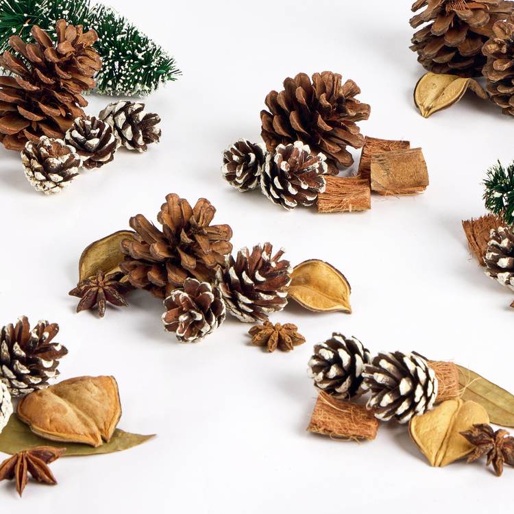 Habitat Under the Mistletoe potpourri with cedar and berries, imported from the UK