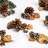 Habitat Under the Mistletoe potpourri with cedar and berries, imported from the UK