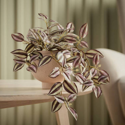 Argos Argos Home Artificial Tradescantia Faux Plant in Ceramic Pot 25.5cm- Buy online at McGrocer