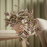 Argos Home artificial Tradescantia plant 25.5cm tall, imported from the UK