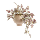 Argos Home artificial Tradescantia plant 25.5cm tall, imported from the UK