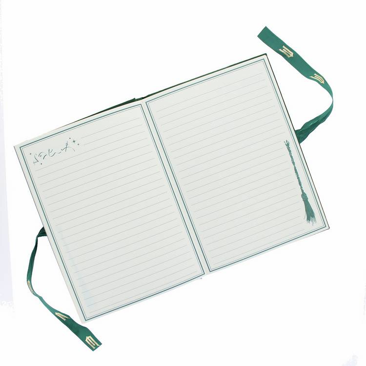 Wicked Defy Gravity velvet green notebook A5, UK version
