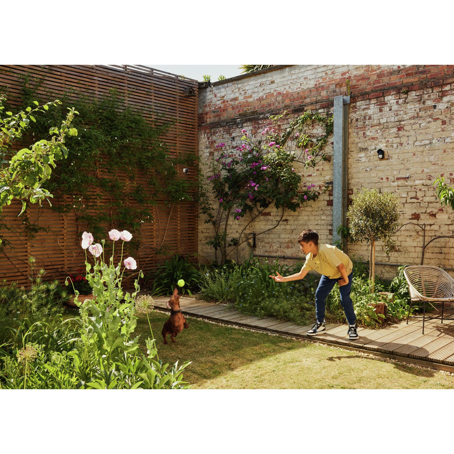 Yale smart outdoor window door contact, UK version