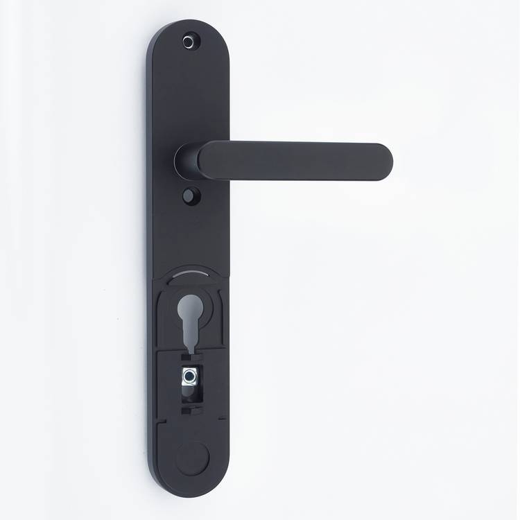 Yale smart lock backplate handle matte black, imported from the UK