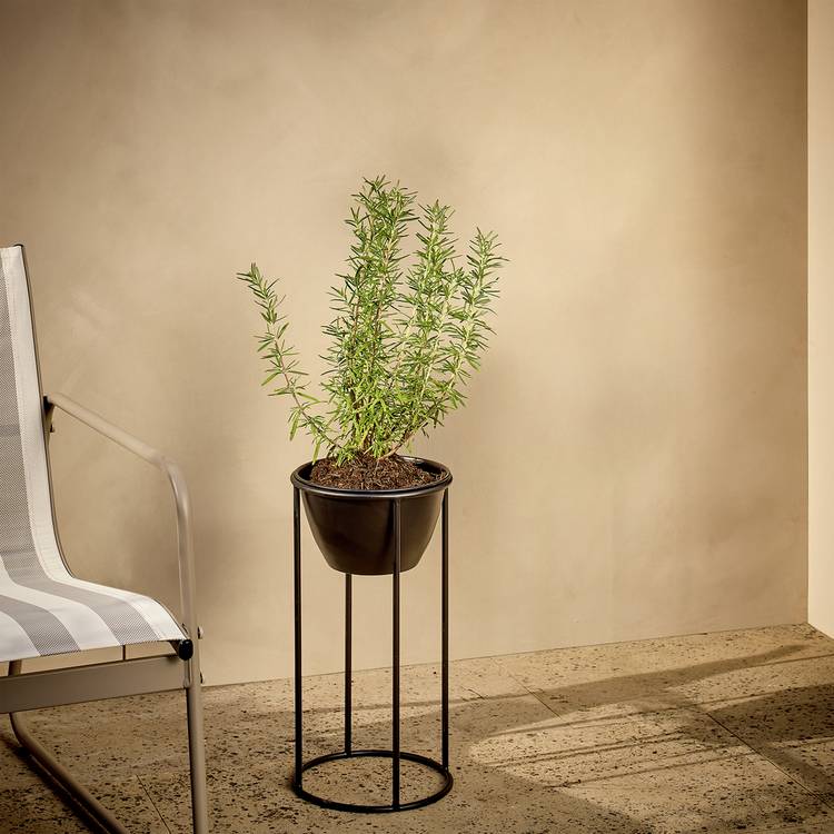 Argos Home small metal planter black finish - British product