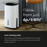 Meaco Arete Two 20L dehumidifier - British product