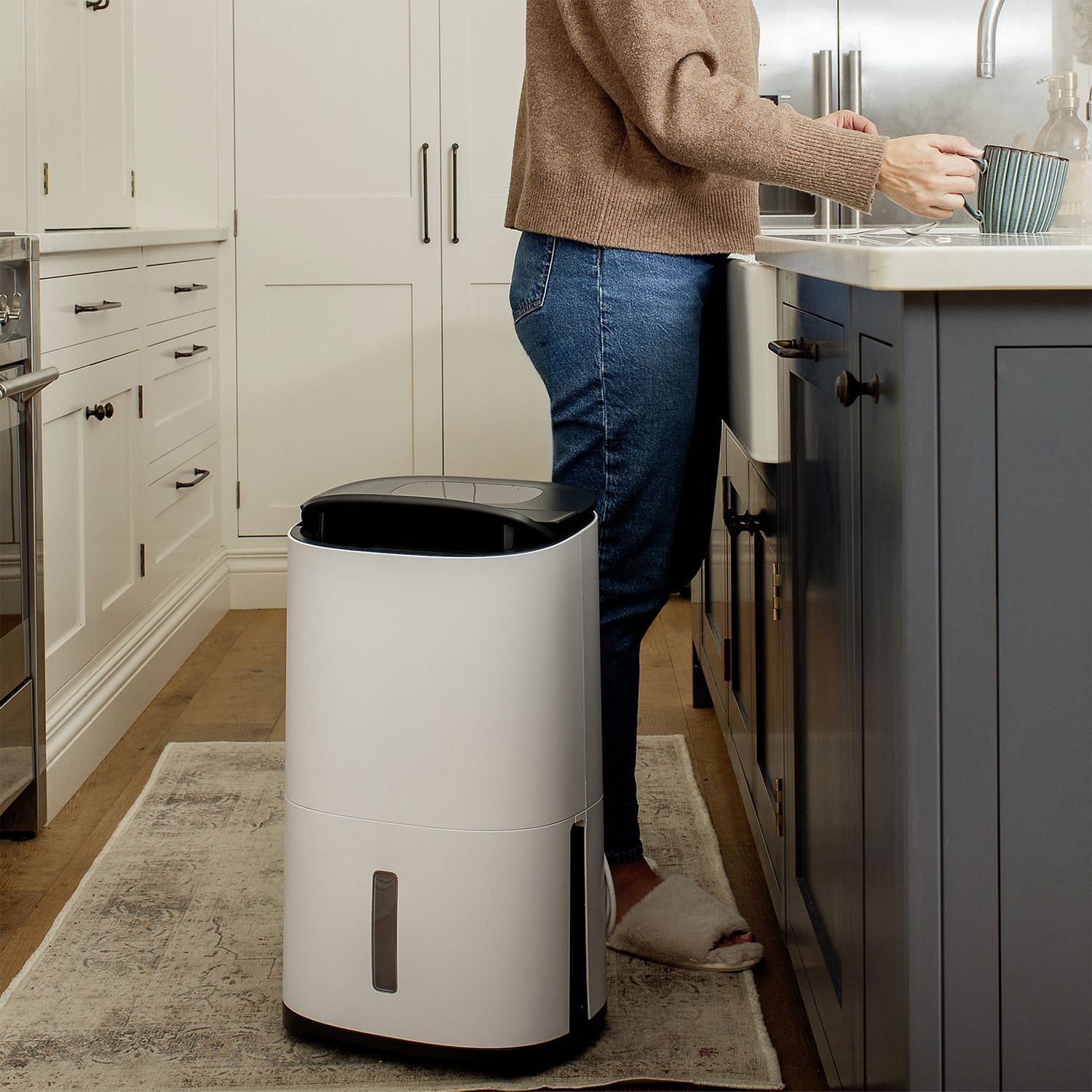 Meaco Arete Two 20L dehumidifier - British product