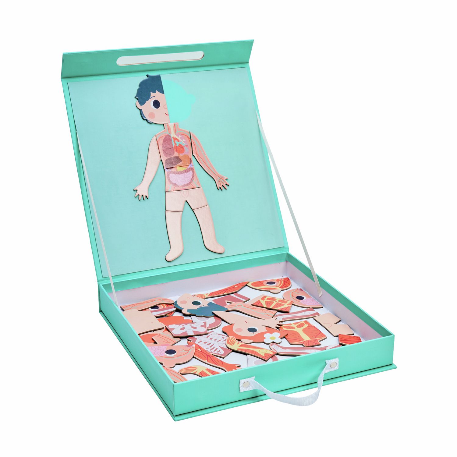 Chad Valley Human Body Magnetic Jigsaw (British brand)