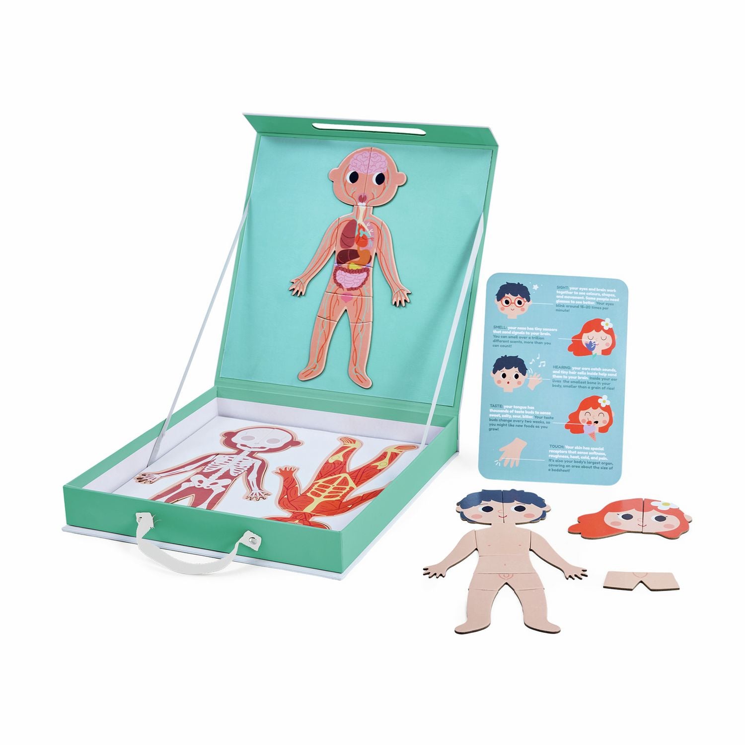 Chad Valley Human Body Magnetic Jigsaw (British brand)