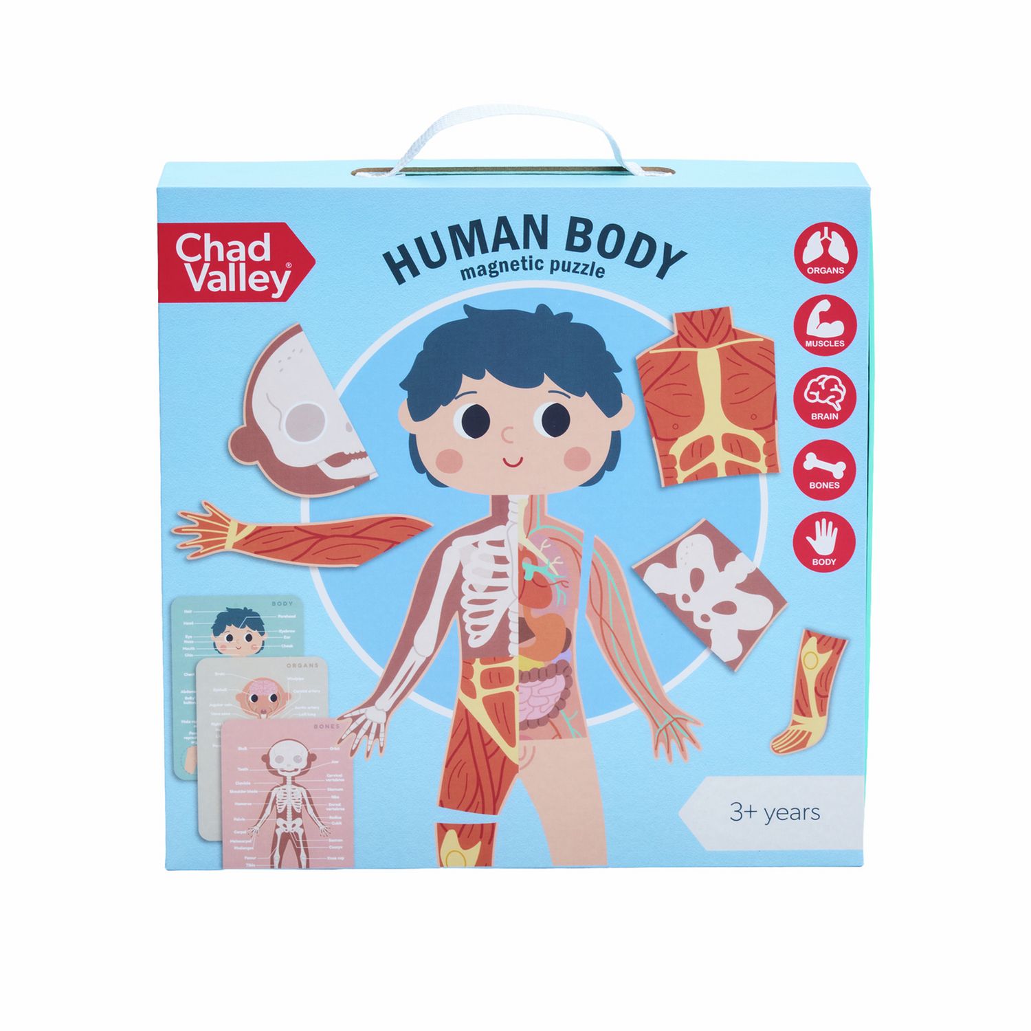 Chad Valley Human Body Magnetic Jigsaw (British brand)