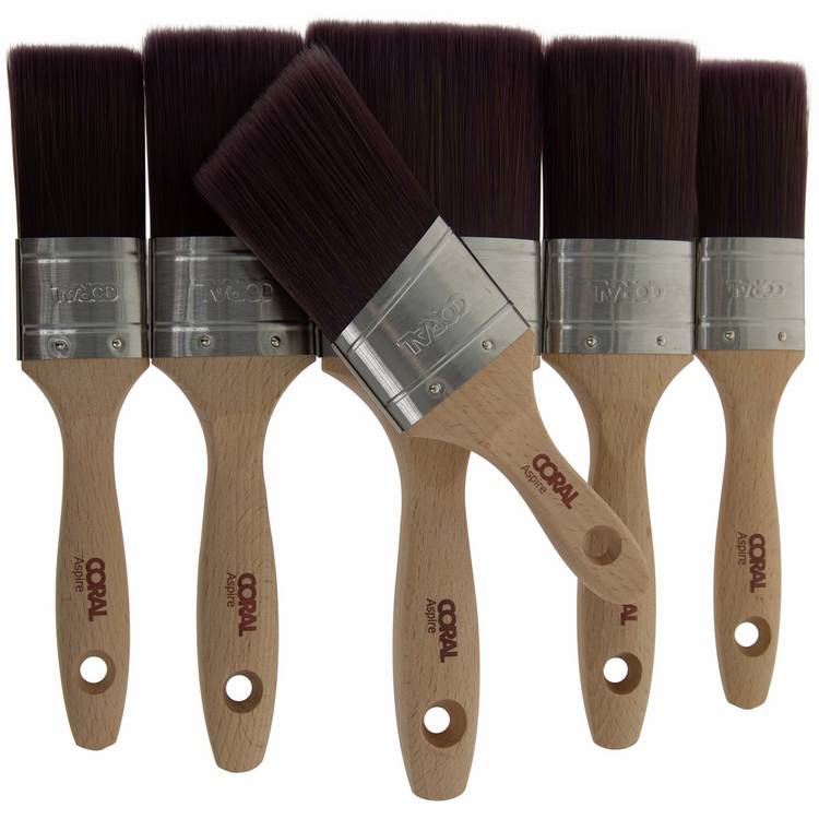 Coral Aspire oval paint brush set 6 pieces (British brand)