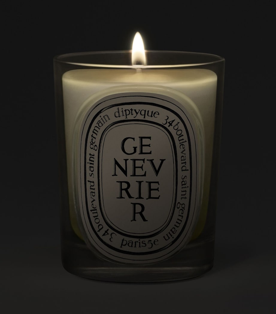 Diptyque Genevrier aromatic candle 190g (British brand)