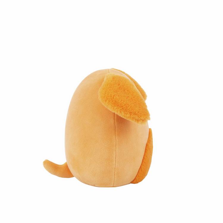 Squishmallows Finley the Brown Dog plush 7.5 inch, UK version