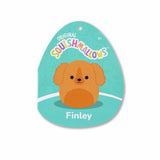 Squishmallows Finley the Brown Dog plush 7.5 inch, UK version