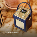 Roberts Revival Mini 2 Blue DAB radio (British brand)