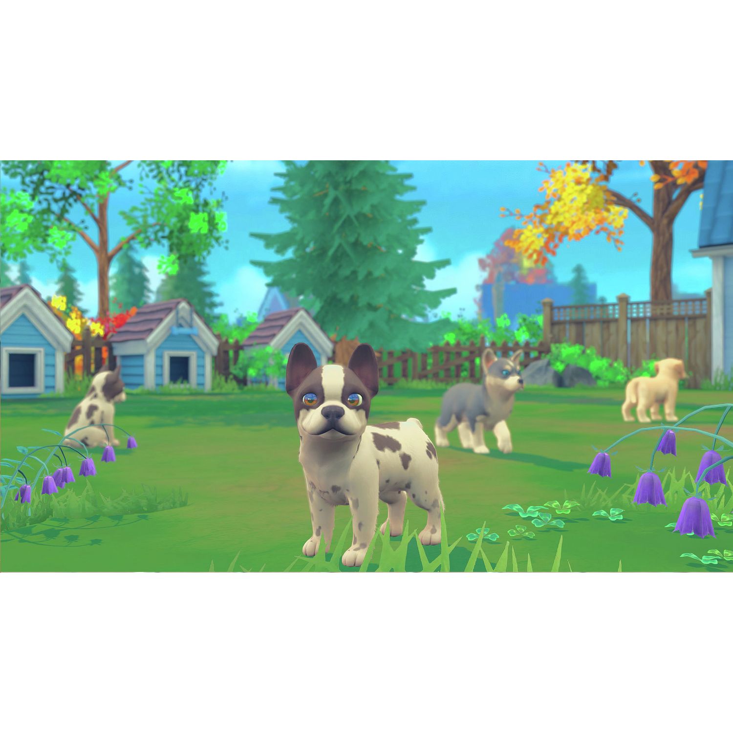 My Universe Puppies and Kittens game for Nintendo Switch, imported from the UK