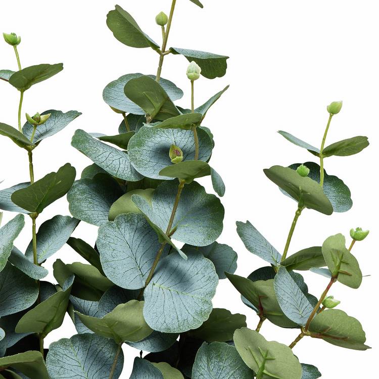 Argos Home artificial eucalyptus stems 3 pack 76cm - British product