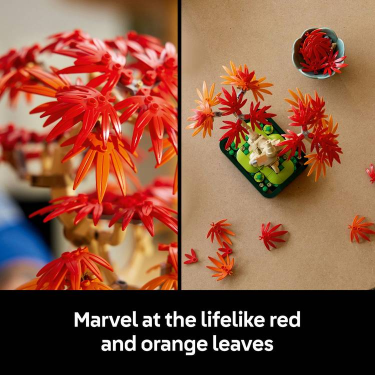 LEGO Botanicals Japanese Red Maple Bonsai Tree set - British product