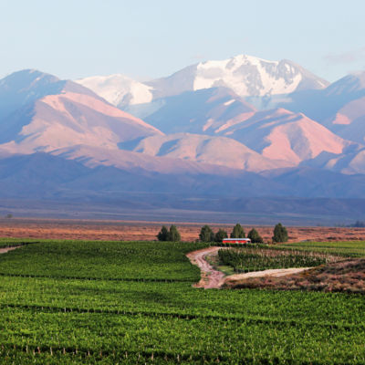 Viñalba Reserve Malbec red wine 75cl, imported from the UK
