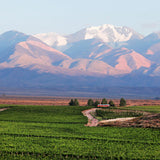 Viñalba Reserve Malbec red wine 75cl, imported from the UK