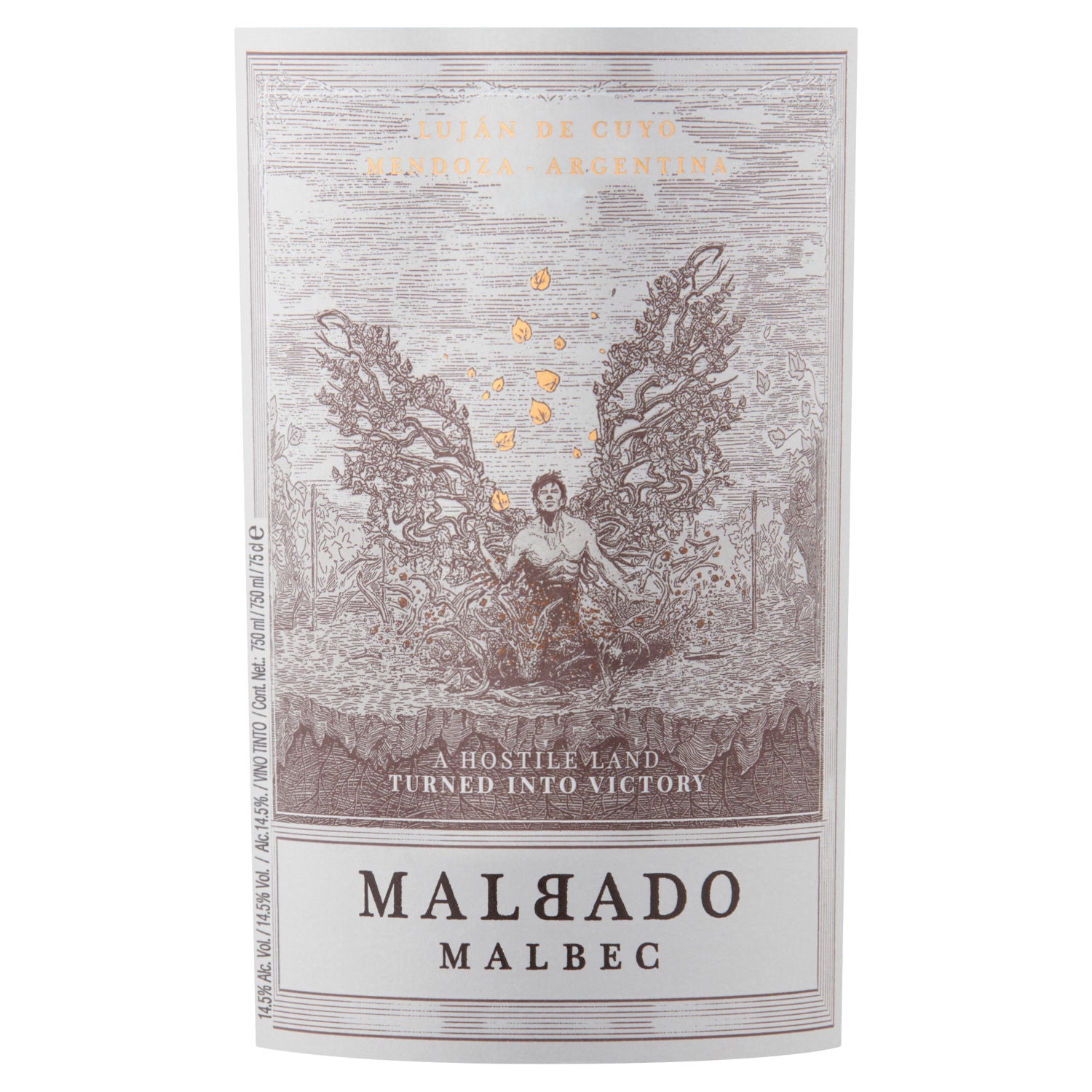 Malbado Malbec red wine 75cl, imported from the UK