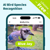 Birdfy Pro 2 solar-powered smart bird feeder with camera - British product