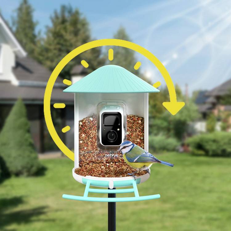 Birdfy smart bird feeder with camera and solar panel - British product