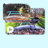 Birdfy smart bird feeder with camera and solar panel - British product