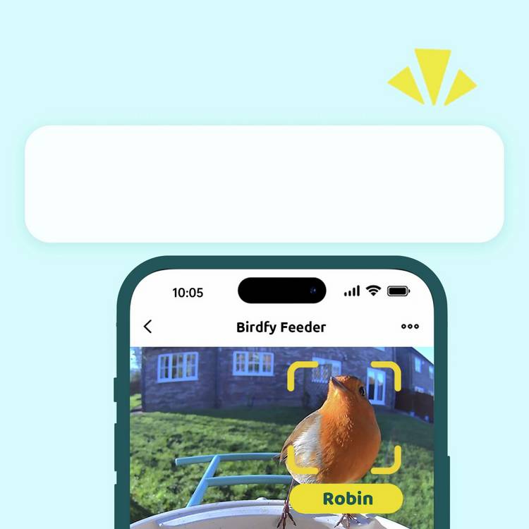 Birdfy smart bird feeder with camera and solar panel - British product