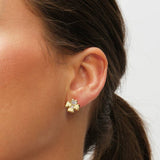 Inicio gold plated clover jewellery set with cubic zirconia, imported from the UK