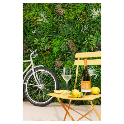 ASDA Cono Sur Bicicleta Viognier Weißwein 75cl - Online bei McGrocer kaufen